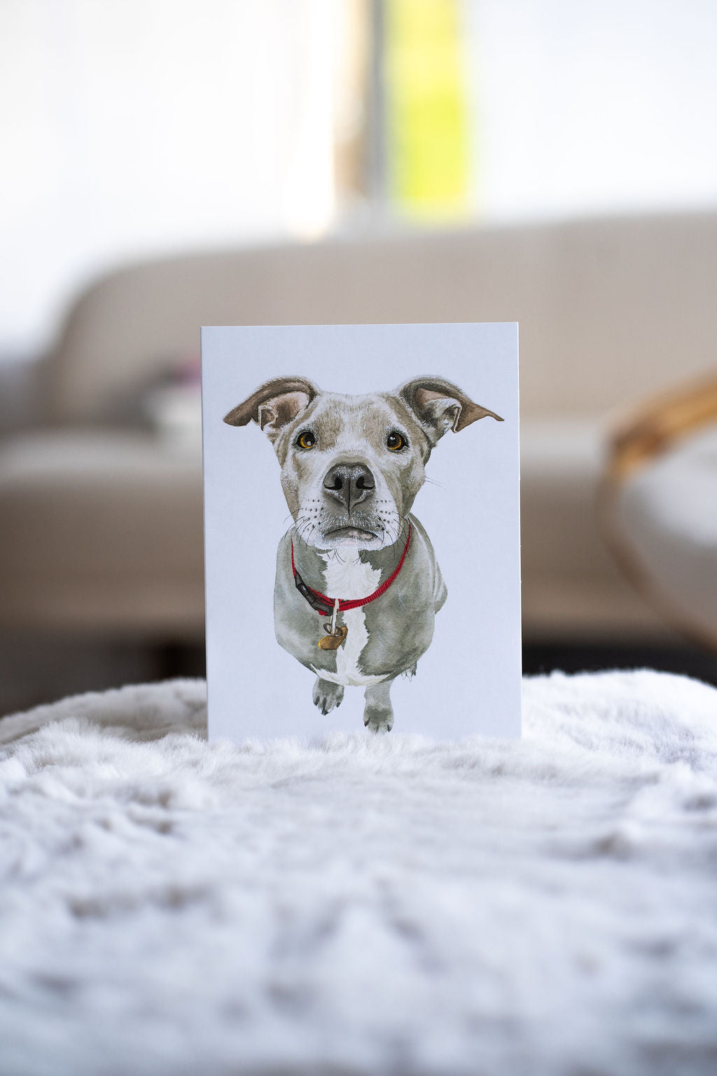 Cards by Montana